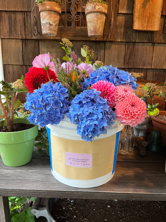 #2 Bucket Bouquet