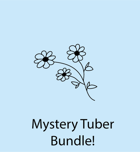#1 Labeled Mystery Tuber Bundle! (Large)